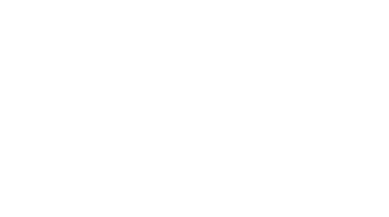 Elena_Lash логотип